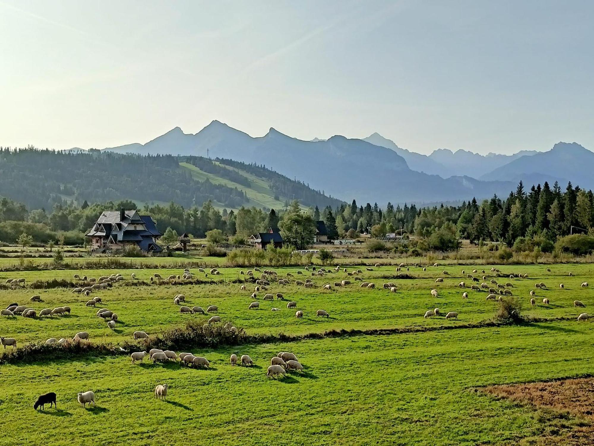 Domek Z Goralska Dusza Sleboda Jurgow Luaran gambar